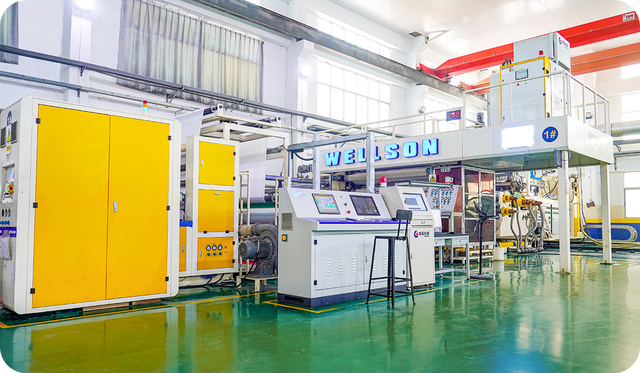 Línea de producción de películas de PE